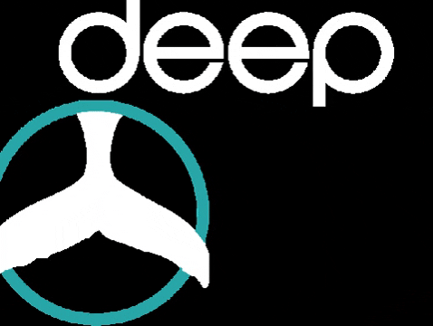 deepfintenerife giphygifmaker GIF