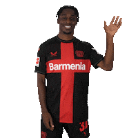 Good Morning Smile Sticker by Bayer 04 Leverkusen