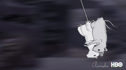 swinging season 3 GIF by Animals