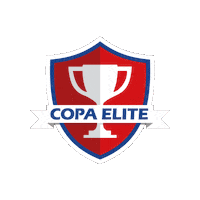 Ensinoelite Sticker by Elite Rede de Ensino
