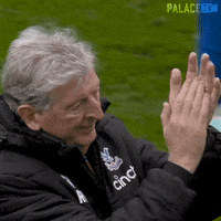 Premier League Sport GIF by Crystal Palace Football Club