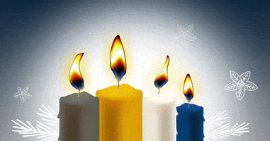 Santa Claus Christmas GIF by Rhenus Logistics