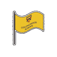 collingwoods cws cavaliers collingwood collingwood school Sticker