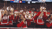 College Football Band GIF by Wisconsin Badgers