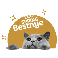Awesome Cat Sticker by Eco Spring  at Iskandar Malaysia