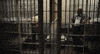 jail GIF