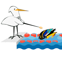 Fiu Sticker by Santiago 2023