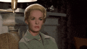 Alfred Hitchcock Birds GIF by Filmin