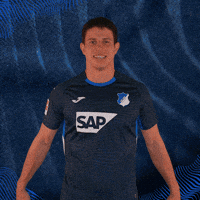 Sport Bundesliga GIF by TSG Hoffenheim