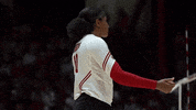 Happy Wisconsin Volleyball GIF by Wisconsin Badgers