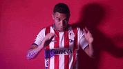 Sanluis Adsl GIF by Atlético de San Luis