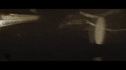 San Remo Video GIF by TheFactory.video