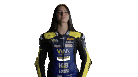 Celebration Bike Sticker by WorldSBK