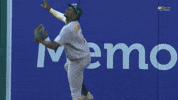 Sport Wow GIF by MLB
