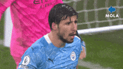 Premier League Football GIF by MolaTV