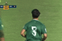 Pakistan Football GIF