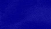 Project Runway GIF by Jeopardy!