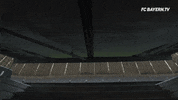 allianz arena stadium GIF by FC Bayern Munich