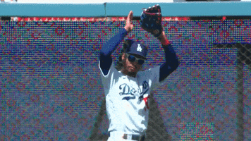 Major League Baseball Sport GIF by MLB