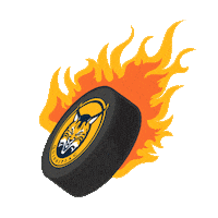 ice hockey Sticker by Quinnipiac University