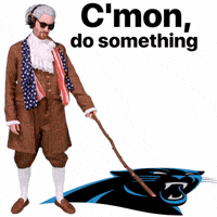 Carolina Panthers GIF