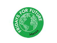 Climate Strike Sticker by Fridays For Future Italia