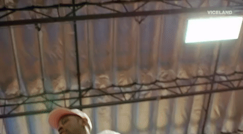 nutsandbolts giphyupload jumping viceland tyler the creator GIF