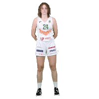 Basketball Sticker by Zabiny Brno