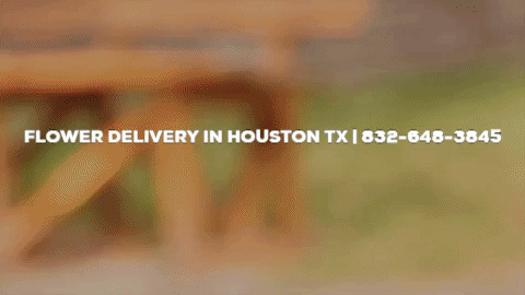 flower delivery in houston tx GIF