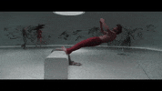 Fall Dancing GIF by VVS FILMS