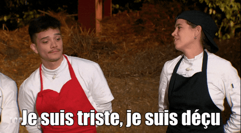 slatefr giphyupload GIF