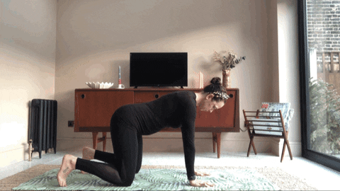 Gemmayates giphyupload GIF