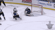 happy ice hockey GIF by NHL