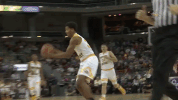 nku nkunorse GIF by Northern Kentucky University Athletics