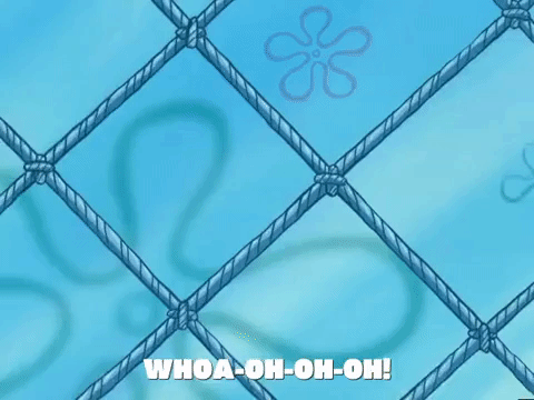 season 5 new digs GIF by SpongeBob SquarePants