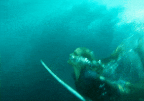 Shark Attack Swimming GIF by Blake Lively Fan