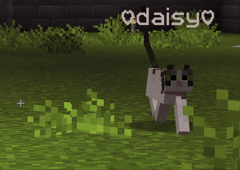 Daisy (my cat!) Minecraft Mob Skin