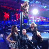 Team Wwe GIF