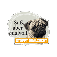 Sticker by akademievet