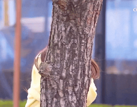 eungaeun 귀여움 은가은 eungaeun GIF