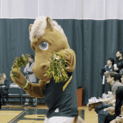 Basketball Mascots GIF by Skidmore College