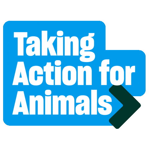 Humaneworld Sticker by Humane World for Animals