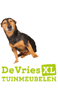 Dance Love Sticker by De Vries XL