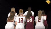 D3Soc Cuc19 GIF by CUCougars