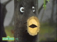 TAFDIGEST  GIF