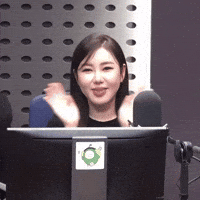 송가인 GIF
