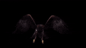 GIF by Sketchie.