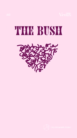 GIF by The Explainer Studio