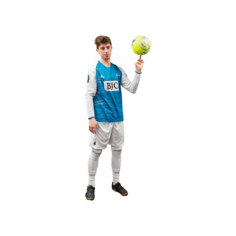 Riseasone Sticker by St. Louis Ambush