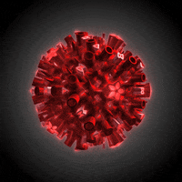 Art Animation GIF by makio135